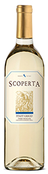 2021 Scoperta Terre Siciliane, Italy Pinot Grigio